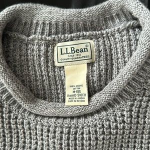 LL Bean sweater. Thick and warm.
